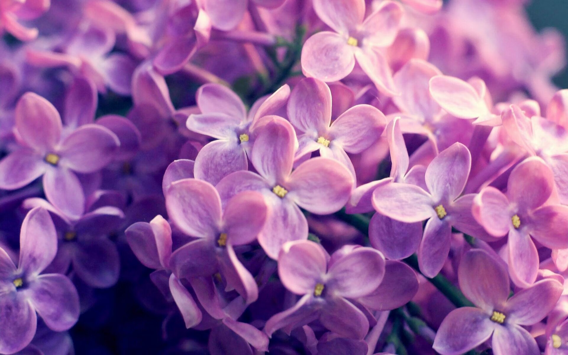 全民健身公共服务提质升级，满足群众多元需求，全民健身公共服务提质升级,满足群众多元需求