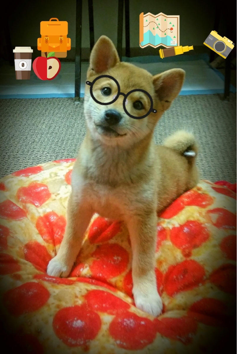 开云中国大陆-今年联盟中场得分王是谁？表现令人期待！，英雄联盟季中赛比分