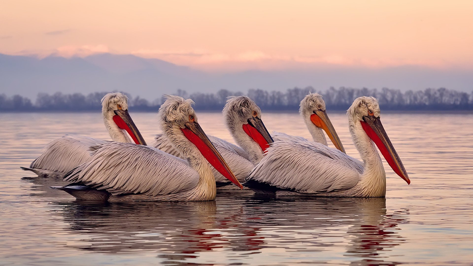 国内足球运动装备创新研发成果频出，行业技术不断突破，国产足球运动装备品牌
