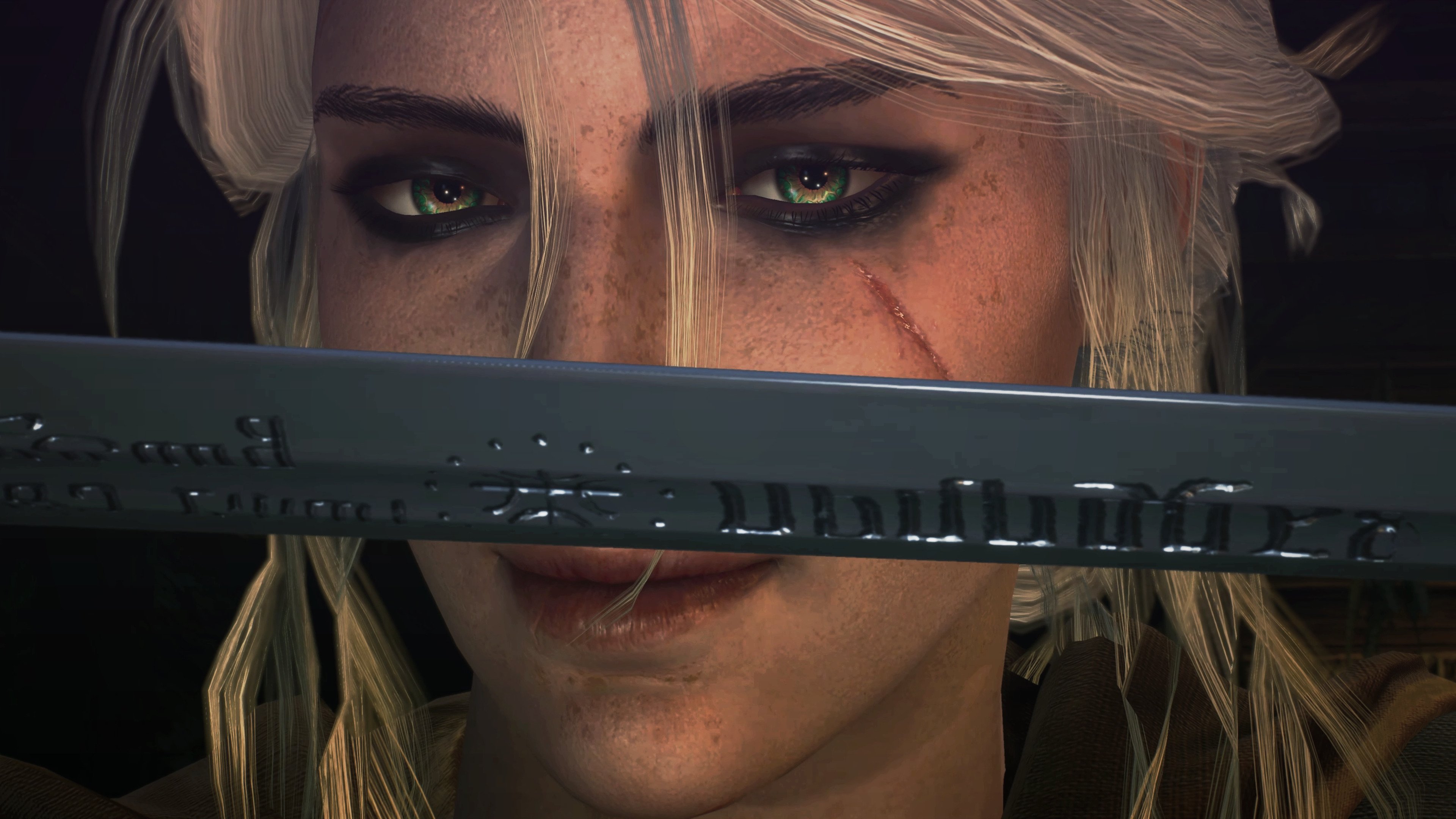 塞内加尔马术协会推出马匹健康管理系统,提升马匹福利。,马赛里尔